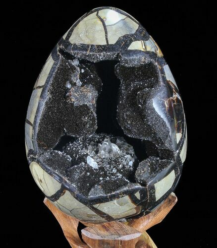 Septarian Dragon Egg Geode - Black Crystals #72055